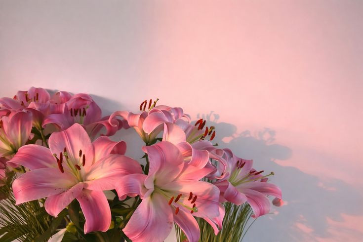 sample-1